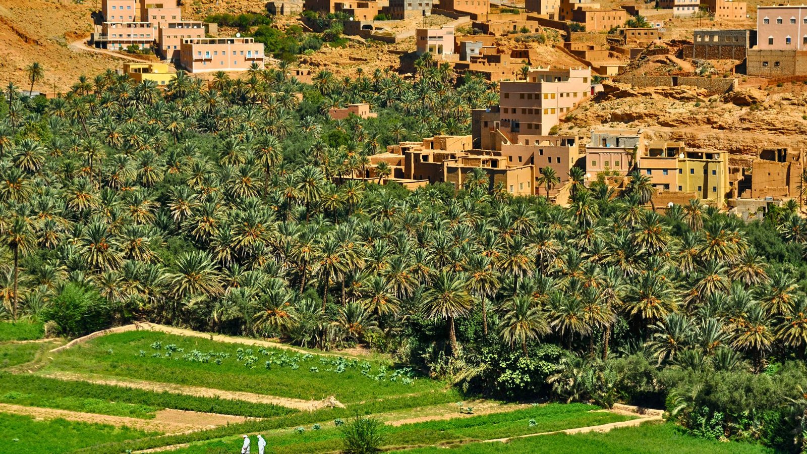 Best Morocco Hike Tours