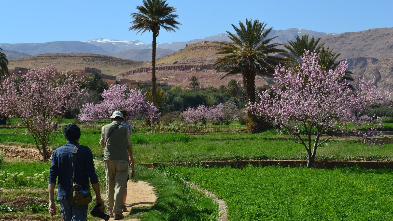 Best Morocco Hike Tours