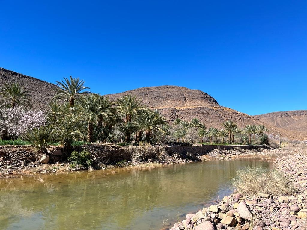 Best Morocco Hike Tours